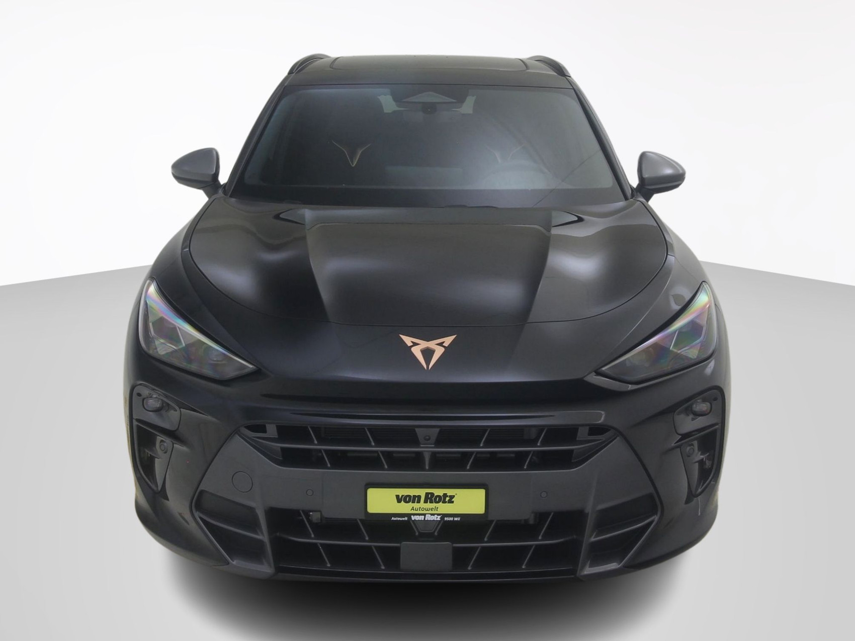 CUPRA Terramar 2.0 TSI VZ 4Drive DSG