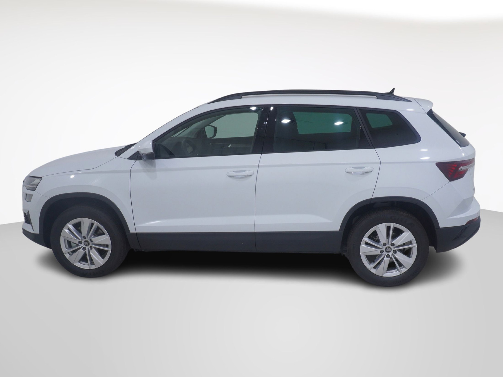 SKODA Karoq 2.0 TDI Selection-Lodge 4×4 DSG